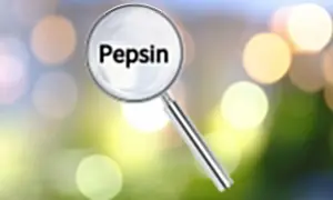 Lupa powiększa napis "Pepsyna". Co to jest pepsyna? To enzym trawienny.