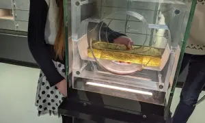 Un lingote de oro de 12 kg, exhibido en una vitrina. ¿Cuánto vale un lingote de oro de 12 kg?