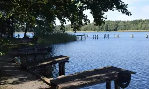 Drewniane pomosty nad spokojnym, błękitnym jeziorem Chrzypsko Wielkie. W oddali widoczne paliki i zalesiony brzeg.