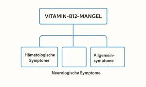 Diagram toont symptomen van vitamine B12-tekort: hematologische, algemene en neurologische. Dit vitamine B12-tekort wordt vaak onderschat.