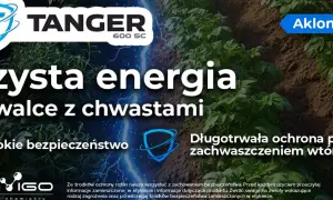 Aklonifen - czysta energia w walce z chwastami. Długotrwała ochrona roślin przed zachwaszczeniem wtórnym.
