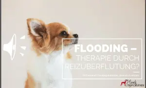 Ein süßer Hund blickt nachdenklich. Der Text thematisiert "Flooding – Therapie durch Reizüberflutung?" und fragt, wann wir diese Methode bei einem Hund anwenden.