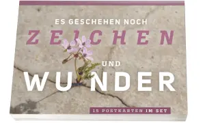 Ein zartes Blümchen bricht durch Beton. "Es geschehen noch Zeichen und Wunder", steht darauf. 15 Postkarten im Set.
