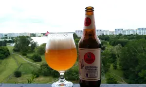 Grodziska White IPA w szkle i butelce, z widokiem na zielone miasto. Idealne na letni wieczór.
