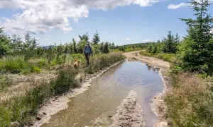 Beskid Śląski atrakcje – odkryj najciekawsze miejsca i przygody