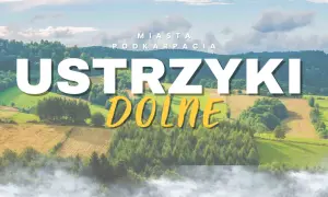 Ustrzyki Dolne, miasto w Podkarpaciu, otoczone zielonymi wzgórzami i lasami, z mgłą unoszącą się u podnóża.