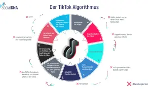 Der TikTok-Algorithmus erklärt, was Social Media ist: Interessen, Wiedergabezeit, Interaktionen und mehr bestimmen die Sichtbarkeit.