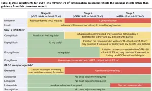 Tabela 4: Dostosowanie dawek leków, w tym avamina, dla pacjentów z eGFR <45 ml/min/1.73 m². Wskazówki dla SGLT2 i GLP-1.