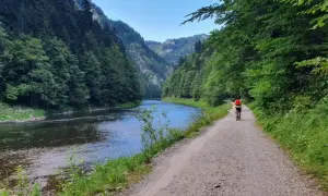 Ścieżka rowerowa wzdłuż Dunajca. Idealne miejsce, by zacząć przygodę z velo dunajec.