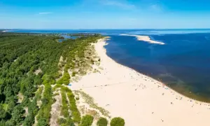 Szeroka, piaszczysta dzika plaża z zielonym lasem sosnowym po lewej i błękitnym morzem po prawej. W oddali widać piaszczystą mierzeję.