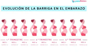 Ilustración muestra la evolución barriga embarazo mes a mes, desde el primer al noveno mes.