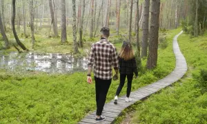 Para spaceruje drewnianą kładką przez las w kierunku jeziora kacze oko.
