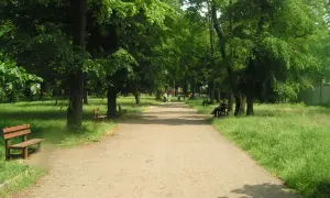 Alejka w parku w Rawiczu, otoczona drzewami. W oddali widać spacerujących ludzi.