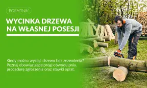 Mężczyzna w okularach i słuchawkach ochronnych wykonuje wycinkę drzewa na własnej posesji. W tle stosy drewna.