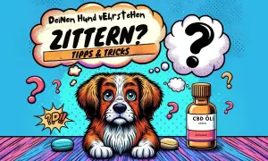Ein Hund zittert im Ruhezustand? Die Sprechblase fragt "ZITTERN? Tipps & Tricks". Daneben eine Flasche CBD Öl.