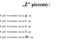 Porzeczka: RZ czy Ż? Zapamiętaj raz na zawsze!