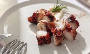 Tentacoli di polpo grigliati su purè di patate, un assaggio dei piatti tipici foggiani.