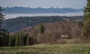 Widok na góry z mgłą w dolinie. W oddali ośnieżone szczyty. Na pierwszym planie las i drewniana wiata, która może być początkiem najkrótszego szlaku na Turbacz.