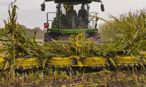 Podatek rolny czy od nieruchomości? Uniknij pułapek i wyższych kosztów