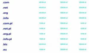 Domena internetowa: Twój adres w sieci. Jak działa i ile kosztuje?