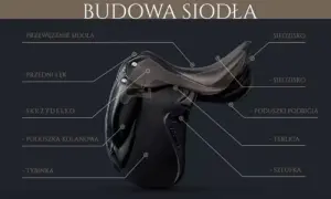 Z czego składa się siodło? Kluczowe elementy, które musisz znać