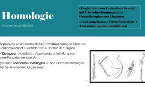 Vergleich von Gliedmaßen verschiedener Tiere, die auf gemeinsame analoge Organe und Abstammung hinweisen.