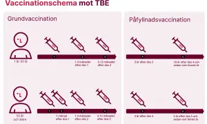Schema för TBE-vaccination, grundvaccination och påfyllnad. Biverkningar tbe vaccin barn är inte specificerade, men schemat visar doser för barn från 1 år.