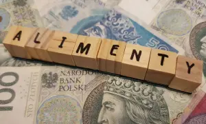 Drewniane klocki z napisem "ALIMENTY" na tle polskich banknotów.