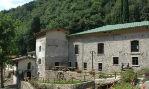 Antica cartiera toscolano immersa nel verde, con un ruscello che scorre e un antico mulino a vista.