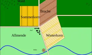 Schema der Dreifelderwirtschaft im Mittelalter: Wald, Sommerkorn, Brache, Winterkorn, Allmende, Dorf, Mühle und Weide.