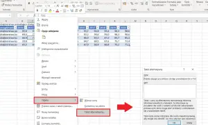 Arkusz kalkulacyjny Excel z zaznaczoną opcją "Tekst alternatywny" dla tabeli, która pokazuje procentowy dostęp przedsiębiorstw.