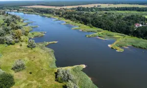 Malownicze jezioro z zielonymi brzegami i lasem w tle. Idealne miejsce na tanie wycieczki 3 dniowe.