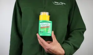 Butelka Roundup do zwalczania chwastów. Instrukcja jak rozrobic Roundup jest na opakowaniu.