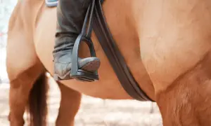 Jeździec w czarnym bucie opiera stopę na strzemieniu, które jest częścią popręgu dla konia.