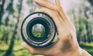 Une main tient un objectif de photographe, révélant une forêt verdoyante et ensoleillée à travers le verre.