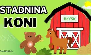 Stajnie koni Bajka w Polsce - opinie, oferty i lokalizacje
