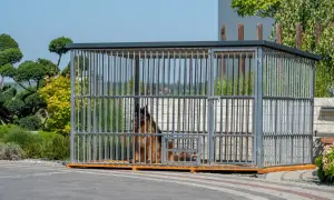 Uszyj kojec dla psa DIY: Praktyczny poradnik krok po kroku