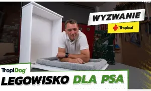 Jak zrobić legowisko dla psa - proste sposoby na wygodne posłanie