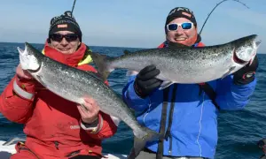 Zwei Angler auf einem Boot zeigen stolz ihre gefangenen Lachse. Ein toller Fang, der zeigt, wo man Lachs angeln kann!