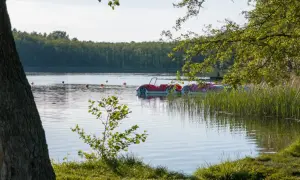 Czyste jezioro z łódkami w kształcie samochodów, otoczone zielenią i lasem.