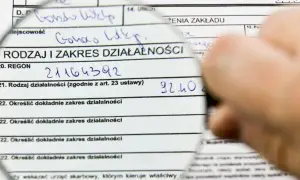 Pod lupą formularz podatkowy, gdzie wpisano dane dotyczące działalności gospodarczej. Może to być związane z wyborem formy opodatkowania, np. podatek liniowy.