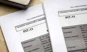 Dwa formularze PIT-11 leżą obok siebie, gotowe do wypełnienia. To ważny krok w planowaniu przyszłości, w tym emerytury kapitałowej.