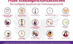 Frühe Schwangerschaftsanzeichen: Müdigkeit, Übelkeit, Brustspannen, veränderter Ausfluss, Kopfschmerzen, Nasenverstopfung, Blähungen, metallischer Geschmack, Empfindlichkeit gegenüber Gerüchen, Stimmungsschwankungen, häufiger Harndrang, leichte Krämpfe...