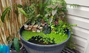 Kleiner Miniteich auf dem Balkon mit üppiger Bepflanzung und einem Wasserfall.
