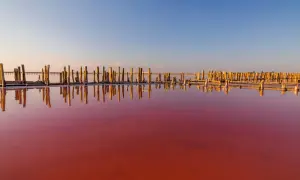 En dagsutflykt från Torrevieja till en rosa sjö med gamla träpålar som speglas i det färgade vattnet.