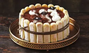 Eine köstliche Tiramisu Torte, umrandet von Löffelbiskuits und verziert mit Kakao und Schokoladenstückchen.