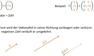 Skalare Multiplikation: Ein Vektor wird mit einer Zahl multipliziert, was seine Länge verändert. Beispiel: 3 mal ein Vektor.