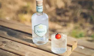 Butelka ginu Anaë i szklanka z lodem i pomidorkiem. Na etykiecie widnieje napis "GIN DE FRANCE BIO", ale dokładny gin ile procent nie jest widoczny.