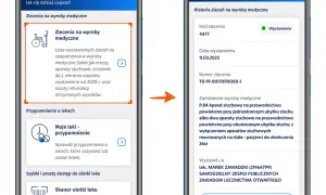 Polska elektronika online: Gdzie znajdziesz swoją ekipę?