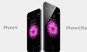 Dwa telefony iPhone 6 i iPhone 6 Plus z różowym kwiatem na ekranie. Zastanawiasz się, ile kosztuje iPhone 6?